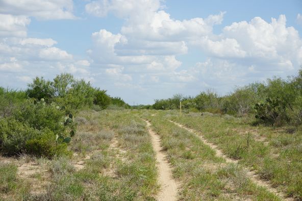 Ranch Land with Minerals: Ranch Rd 7918B, Laredo, TX 78046